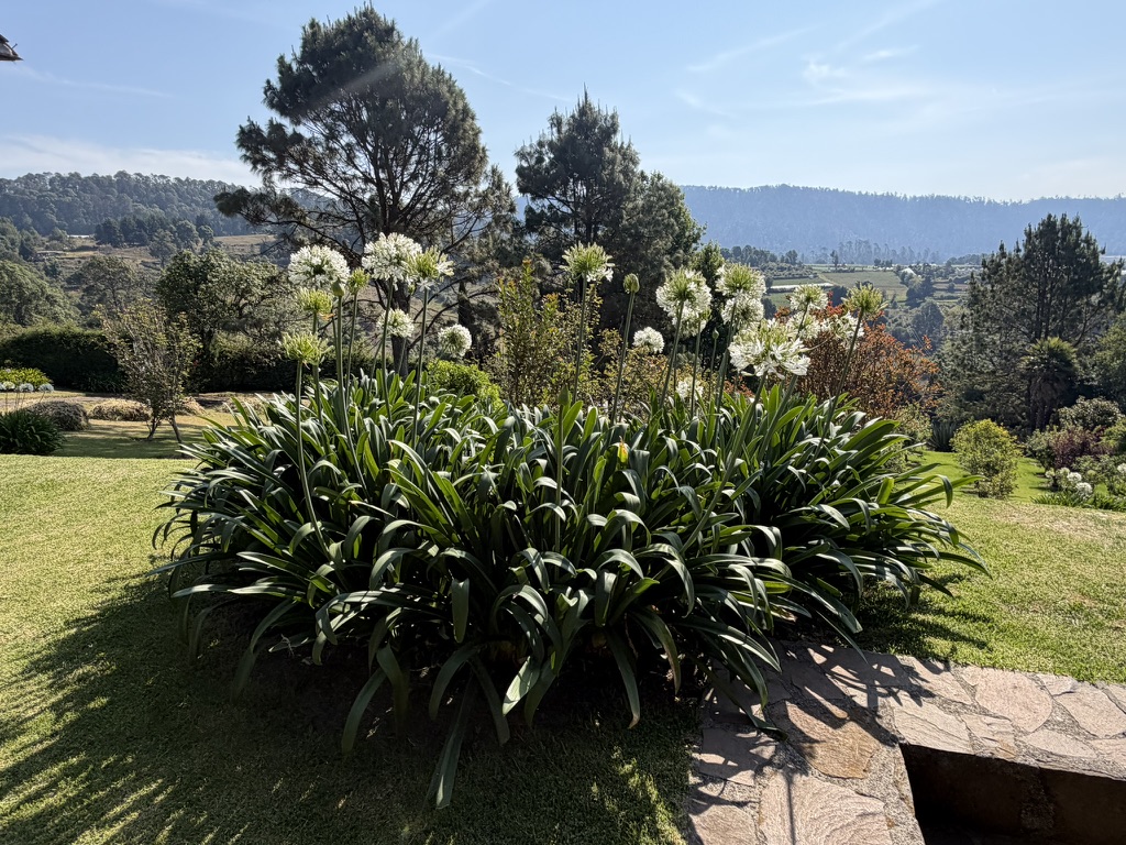 Amenity 2